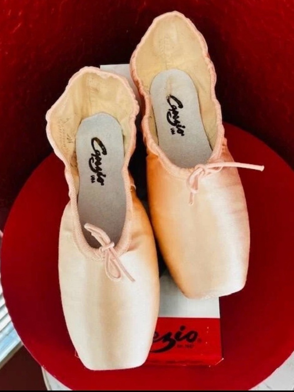 Capezio Pale Pink Pointe Shoes